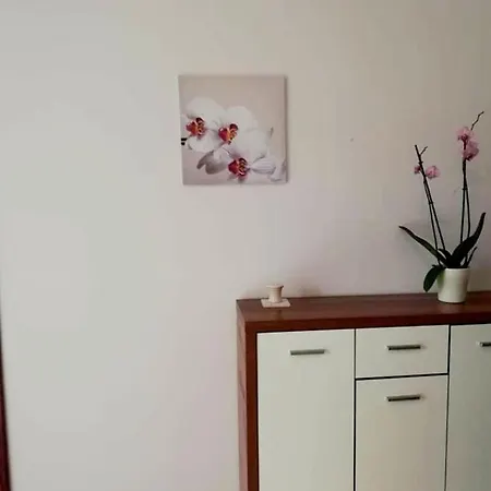 Apartman Ivana *